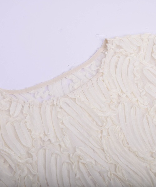 La-gemme(ラジェム)の「刺繍レースシアートップス(その他トップス・レディース・ブラック/ベージュ・フリー)」の19枚目の写真