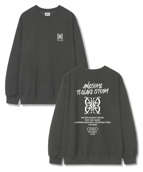 TI.GLAKE(ティーグレイク)の「ビッグロゴストーリー オーバーサイズ 裏毛 スウェット Tシャツ ダークグレー(スウェット・レディース・その他・L/XL/XXL)」の1枚目の写真