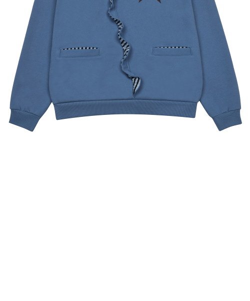 LUVISTRUE（ラヴイズトゥルー）の「EV STAR HOOD TEE(BLUE)（パーカー・レディース・その他・FREE）」の5枚目の写真