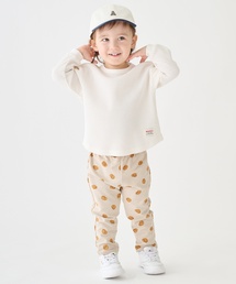 petit main(�v�e�B�}�C��)�́y�h���z����p���c(���̑��p���c)