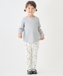 petit main(�v�e�B�}�C��)�́y�h���z����p���c(���̑��p���c)