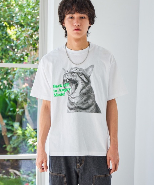 PBLIM（ページボーイリム）の「《UNISEX》シャウトキャットT　猫 / フロントプリント（Tシャツ/カットソー・レディース・オフホワイト/グレー・FREE）」の3枚目の写真