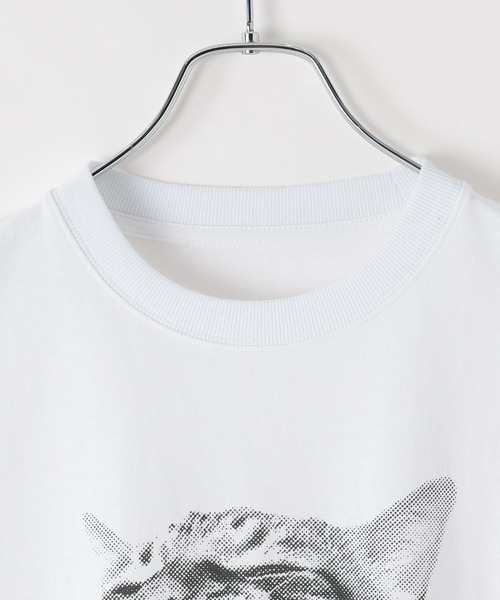 PBLIM（ページボーイリム）の「《UNISEX》シャウトキャットT　猫 / フロントプリント（Tシャツ/カットソー・レディース・オフホワイト/グレー・FREE）」の17枚目の写真