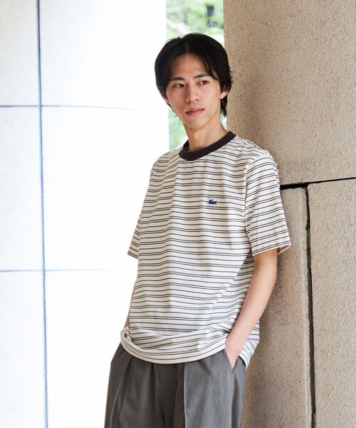 SHIPS別注】LACOSTE: マイクロ ボーダー Tシャツ（Tシャツ/カットソー