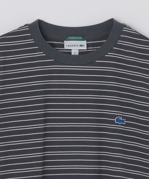 LACOSTE（ラコステ）の「【SHIPS別注】LACOSTE: マイクロ ボーダー Tシャツ（Tシャツ/カットソー・メンズ・ブラウン/ネイビー/ダークグレー・5/4/3/2）」の18枚目の写真