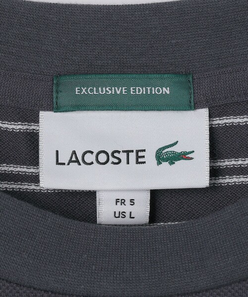 LACOSTE（ラコステ）の「【SHIPS別注】LACOSTE: マイクロ ボーダー Tシャツ（Tシャツ/カットソー・メンズ・ブラウン/ネイビー/ダークグレー・5/4/3/2）」の22枚目の写真