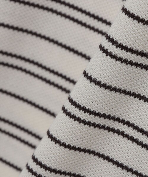 LACOSTE（ラコステ）の「【SHIPS別注】LACOSTE: マイクロ ボーダー Tシャツ（Tシャツ/カットソー・メンズ・ブラウン/ネイビー/ダークグレー・5/4/3/2）」の5枚目の写真