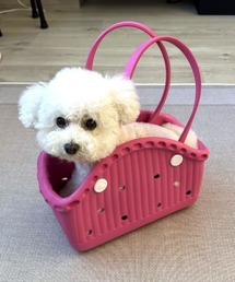 Vipoa（ヴィポア）の「Pet rubber bag（その他ペットグッズ）」