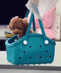 Vipoa（ヴィポア）の「Pet rubber bag（その他ペットグッズ）」
