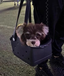 Vipoa（ヴィポア）の「Pet rubber bag（その他ペットグッズ）」