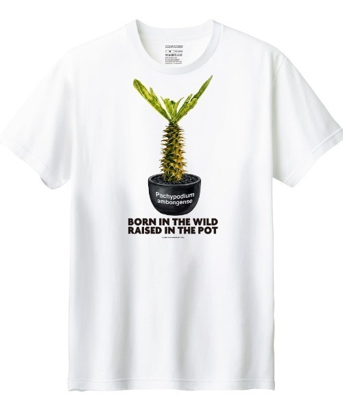 Moftique（モフティック）の「Moftique（モフティック） 半袖Tシャツ パキポディウム アンボンゲンセ コーデックス 塊根植物 多肉植物 プリント Tシャツ 半袖 トップス カットソー メンズ レディース ユニセックス 夏（Tシャツ/カットソー・メンズ・ホワイト/ブラック・S/M/L/XL/XS）」の2枚目の写真
