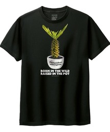 Moftique | Moftique(モフティック) 半袖Tシャツ パキポディウム アンボンゲンセ コーデックス 塊根植物 多肉植物 プリント Tシャツ 半袖 トップス カットソー メンズ レディース ユニセックス 夏(Tシャツ/カットソー)