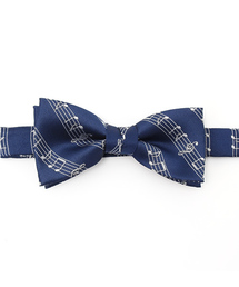 ADPOSION�i�A�h�|�[�V�����j�́u�y���{���z������ ���l�N�^�C�i���l�N�^�C�j�v