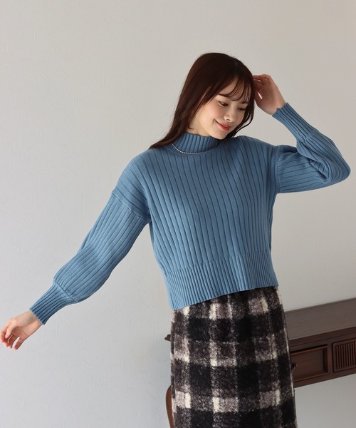 BLUEEAST(ブルーイースト)の「ハイネックリブニット(ニット/セーター・レディース・ブラック/ベージュ/ブルー/グリーン/ボルドー/ブルーグレー・MEDIUM)」の15枚目の写真