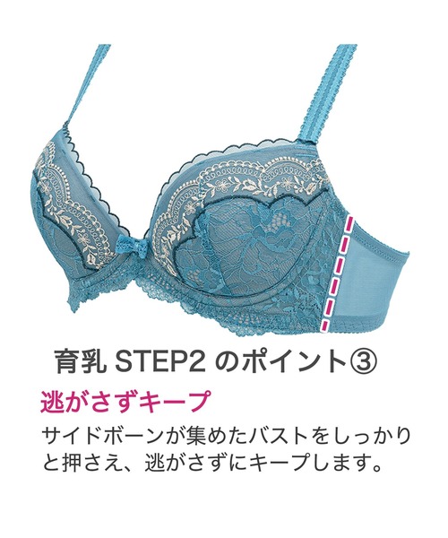 BRADELIS NEWYORK（ブラデリスニューヨーク）の「ナオミステップ2ブラ 