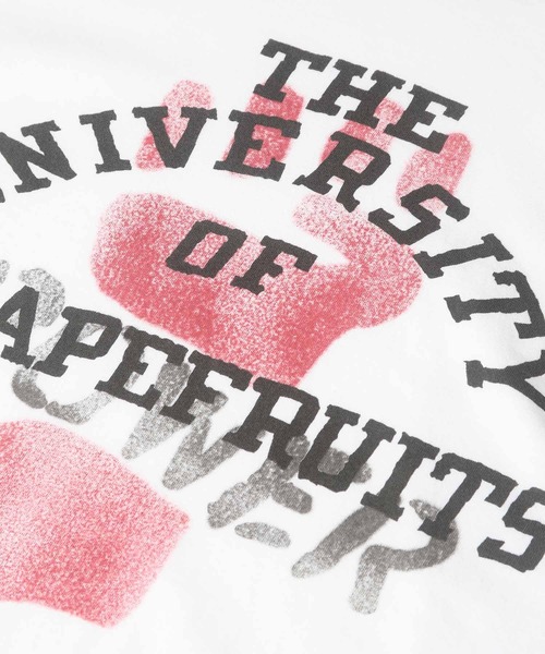 BOW WOW（バウワウ）の「BOWWOWUNIV OF GRAPEFRUITS RINGER TEE（Tシャツ/カットソー・メンズ・ホワイト・MEDIUM/LARGE/X-LARGE）」の16枚目の写真