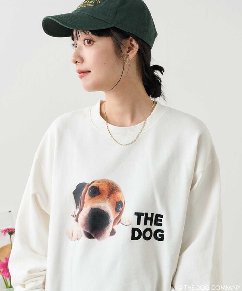 セール】THE DOG × FREAK'S STORE/ザ・ドッグ 【限定展開】THE DOG