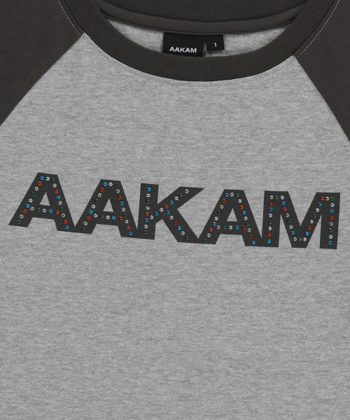AAKAM(アーカム)の「AKM Rhinestone Raglan Half Top (Gray)(Tシャツ/カットソー・レディース・その他・1/2)」の13枚目の写真
