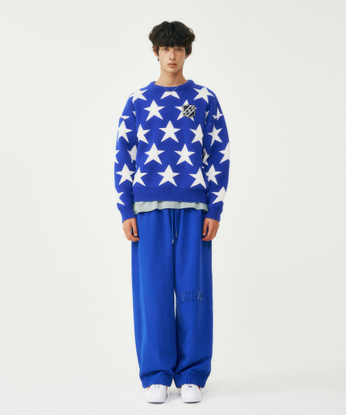 FROM ARLES(フロムアルル)の「イターナルユース スウェットパンツ / ブルー(スウェットパンツ・メンズ・ブルー・M/L)」の1枚目の写真