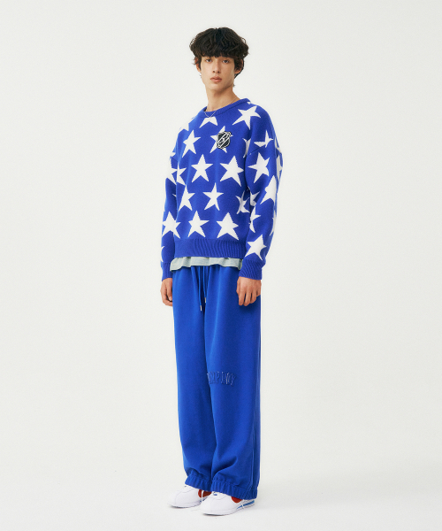 FROM ARLES(フロムアルル)の「イターナルユース スウェットパンツ / ブルー(スウェットパンツ・メンズ・ブルー・M/L)」の2枚目の写真