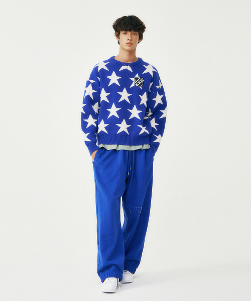 FROM ARLES(フロムアルル)の「イターナルユース スウェットパンツ / ブルー(スウェットパンツ・メンズ・ブルー・M/L)」の3枚目の写真