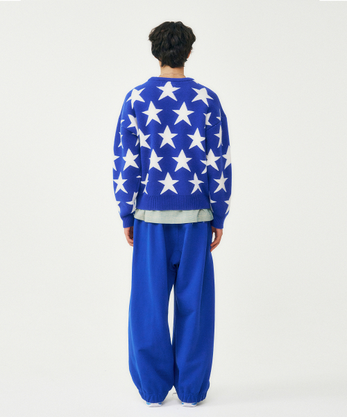 FROM ARLES(フロムアルル)の「イターナルユース スウェットパンツ / ブルー(スウェットパンツ・メンズ・ブルー・M/L)」の4枚目の写真