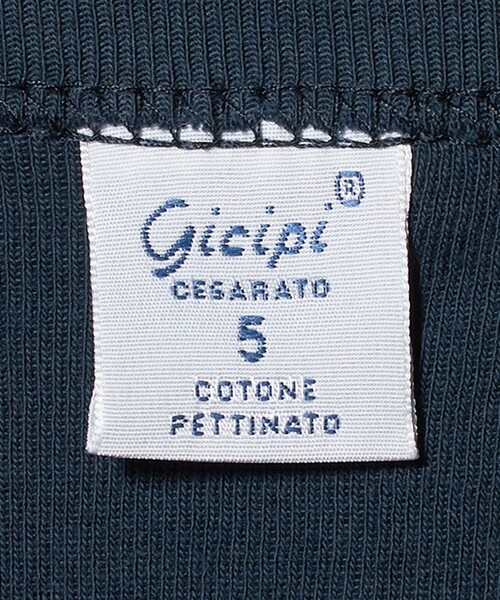 gicipi（ジチピ）の「＜gicipi＞GRONGO/クルーネック ベーシックフィット Tシャツ（Tシャツ/カットソー・メンズ・ホワイト/ロイヤルブルー・5/4）」の9枚目の写真