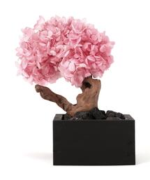 L.H.P（エルエイチピー）の「JAKOU/寂香/BONSAI Diffuser（ルームフレグランス/お香）」