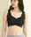 izumi BODY LABOiCY~{fB{j́uyH^pbhoXg̉hŃoXgPAziCguiiCgujvbubN