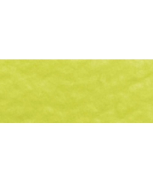 Arizona EVA 【レギュラー幅】 ユニセックス（サンダル）｜BIRKENSTOCK（ビルケンシュトック）