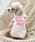 ANNA SUI�i�A�i�X�C�j�́uANNA SUI/�L�����[���E�F�A�i�y�b�g�E�F�A�j�v�b�s���N