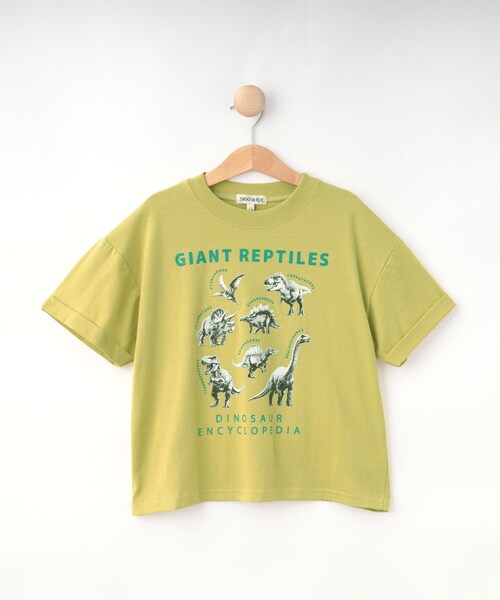 SHOO・LA・RUE（シューラルー）の「【100-120cm】猛獣恐竜フォト図鑑Tシャツ（Tシャツ/カットソー・キッズ・イエロー/チャコールグレー・12/11/10）」の2枚目の写真