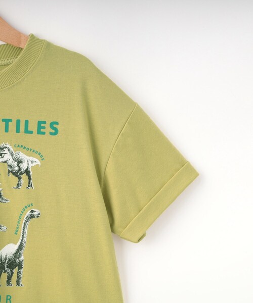 SHOO・LA・RUE（シューラルー）の「【100-120cm】猛獣恐竜フォト図鑑Tシャツ（Tシャツ/カットソー・キッズ・イエロー/チャコールグレー・12/11/10）」の6枚目の写真