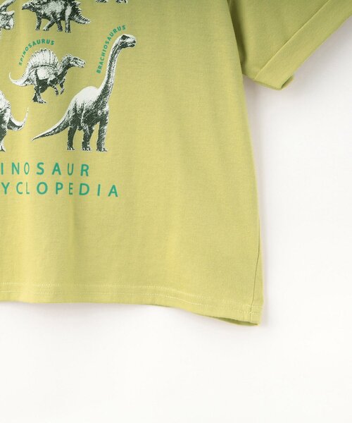 SHOO・LA・RUE（シューラルー）の「【100-120cm】猛獣恐竜フォト図鑑Tシャツ（Tシャツ/カットソー・キッズ・イエロー/チャコールグレー・12/11/10）」の7枚目の写真