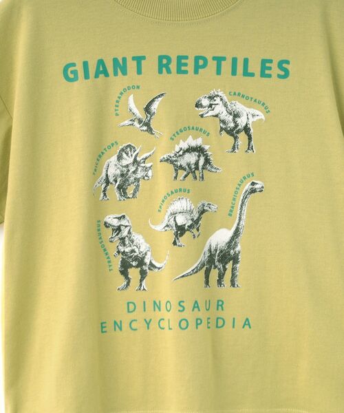 SHOO・LA・RUE（シューラルー）の「【100-120cm】猛獣恐竜フォト図鑑Tシャツ（Tシャツ/カットソー・キッズ・イエロー/チャコールグレー・12/11/10）」の8枚目の写真