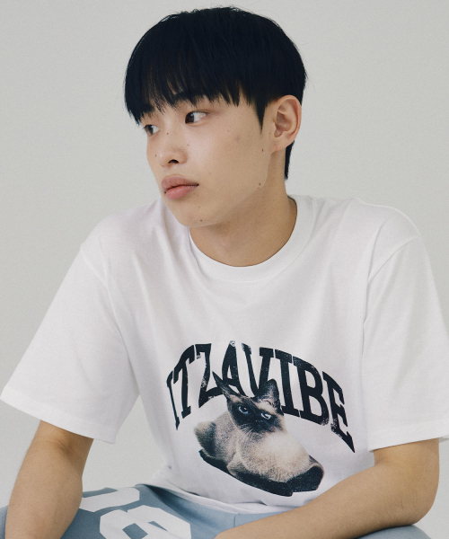 ITZAVIBE(イッザバイブ)の「SIAMESE CAT VINTAGE LOGO T SHIRT(Tシャツ/カットソー・レディース・その他・LARGE/MEDIUM)」の3枚目の写真