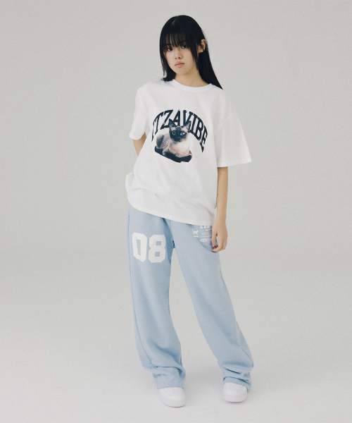 ITZAVIBE(イッザバイブ)の「SIAMESE CAT VINTAGE LOGO T SHIRT(Tシャツ/カットソー・レディース・その他・LARGE/MEDIUM)」の4枚目の写真