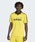adidas�i�A�f�B�_�X�j�́u�A�[�J�C�u�J���[�G���W�j�A�[�h�W���[�W / �W���[�W / �A�f�B�_�X�I���W�i���X adidas Originals�i�W���[�W�j�v�b�C�G���[