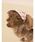 gelato pique�i�W�F���[�g�s�P�j�́u�yCAT&DOG�z�\�t�g�T���o�C�U�[�i�y�b�g�E�F�A�j�v�b�s���N