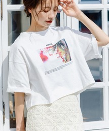 コラボフォトプリントショートTシャツ 294679