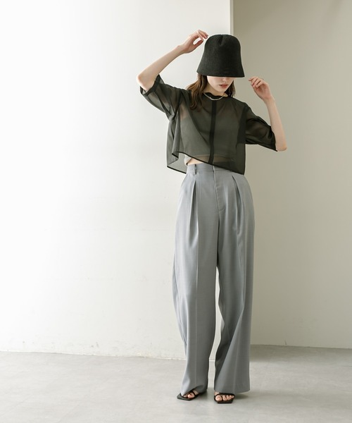 mystic(ミスティック)の「オーガンジーシアーTブラウス(シャツ/ブラウス・レディース・ブラック/ピンク/アイボリー・FREE)」の9枚目の写真