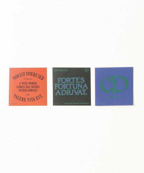 ODORATA（オドラタ）の「シアートップス（Tシャツ/カットソー・レディース・ブラック/ホワイト・FREE）」の14枚目の写真