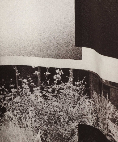 LOWRYS FARM（ローリーズファーム）の「フォトコラージュシャツＳＳ　120680（シャツ/ブラウス・メンズ・ホワイト/ネイビー/オレンジ・MEDIUM/LARGE）」の6枚目の写真