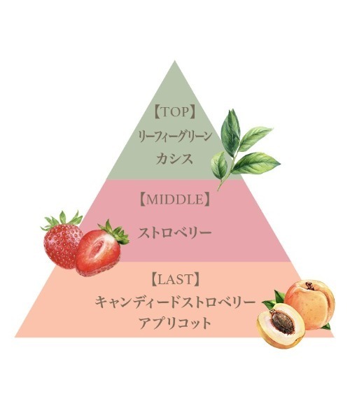 FERNANDA（フェルナンダ）の「ボディスプラッシュ＆ミニリッチハンド