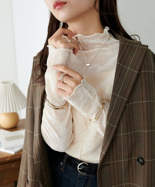 DISCOAT(ディスコート)の「【WEB限定】前後2WAYフロッキーメッシュボトルネックプルオーバー(Tシャツ/カットソー・レディース・ブラック/ブラウン/ブルー/アイボリー/グレイッシュベージュ・FREE)」の2枚目の写真