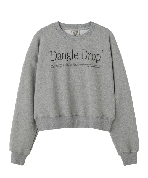 DANGLEDROP（ダングルドロップ）の「DGDPタイポマンツーマンメランジグレー（スウェット・レディース・その他・S/M）」の2枚目の写真