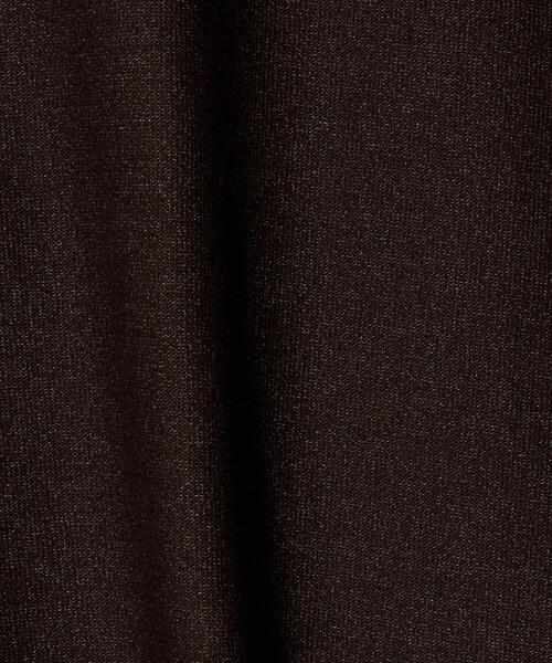 A DAY IN THE LIFE UNITED ARROWS(アデイインザライフユナイテッドアローズ)の「スウェットライク イージーTシャツ <A DAY IN THE LIFE>(Tシャツ/カットソー・レディース・ライトグレー/ライム/ダークブラウン・FREE)」の13枚目の写真