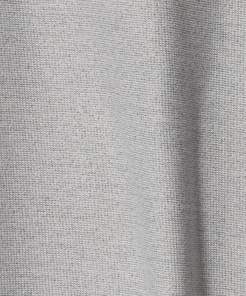 A DAY IN THE LIFE UNITED ARROWS(アデイインザライフユナイテッドアローズ)の「スウェットライク イージーTシャツ <A DAY IN THE LIFE>(Tシャツ/カットソー・レディース・ライトグレー/ライム/ダークブラウン・FREE)」の16枚目の写真