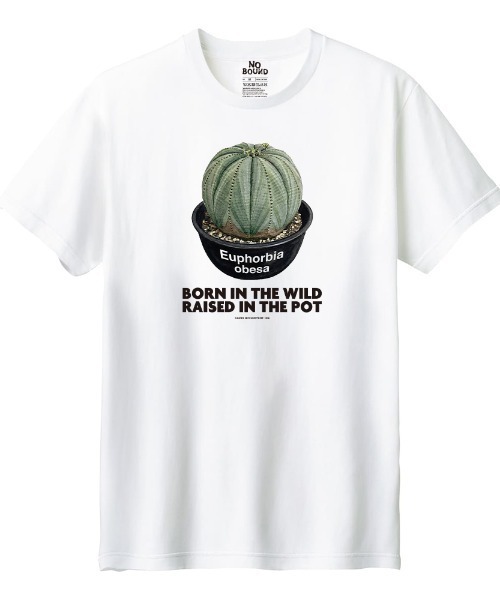 Moftique(モフティック)の「Moftique(モフティック) 半袖Tシャツ ユーフォルビア オベサ コーデックス 塊根植物 多肉植物 プリント Tシャツ 半袖 トップス カットソー メンズ レディース ユニセックス 夏(Tシャツ/カットソー・メンズ・ホワイト/ブラック・S/M/L/XL/XS)」の2枚目の写真