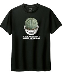 Moftique | Moftique(モフティック) 半袖Tシャツ ユーフォルビア オベサ コーデックス 塊根植物 多肉植物 プリント Tシャツ 半袖 トップス カットソー メンズ レディース ユニセックス 夏(Tシャツ/カットソー)